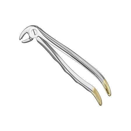 Extracting forceps, anat.